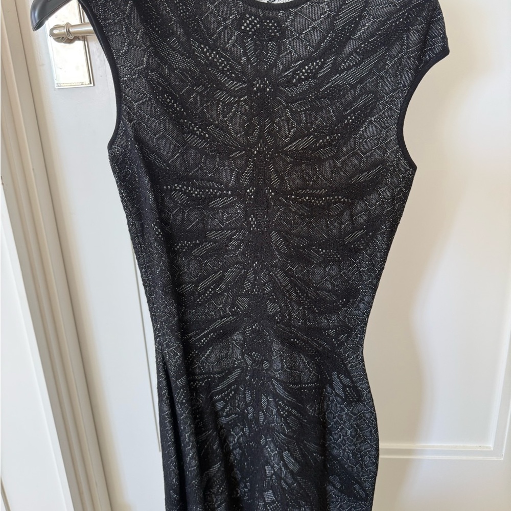 Alexander McQueen dress xs